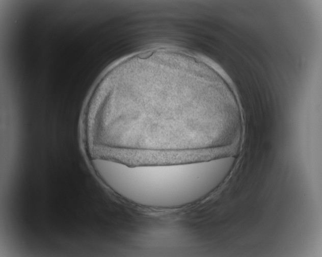 X0000087601056200705251918