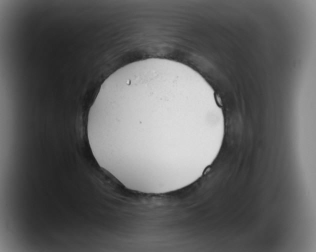 X0000087601058200705251918