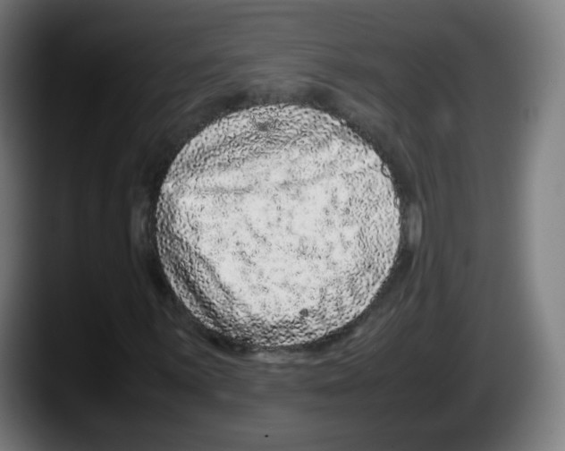 X0000087601059200705251918