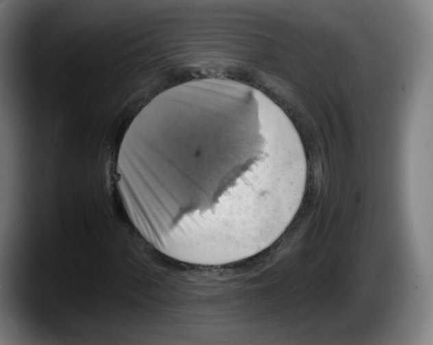 X0000087601060200705251918