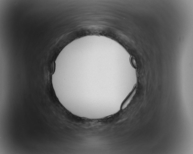 X0000087601061200705251918