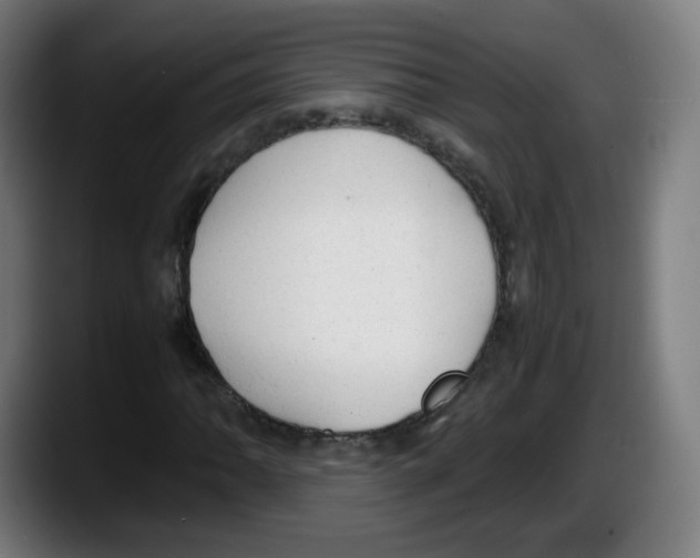 X0000087601062200705251917