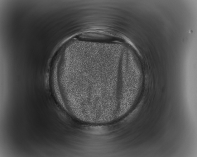 X0000087601066200705251917