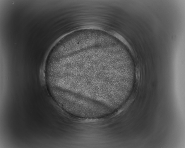 X0000087601068200705251917