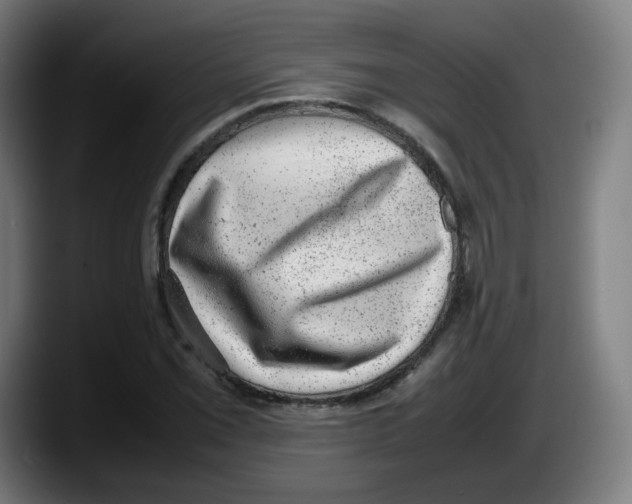 X0000087601069200705251917