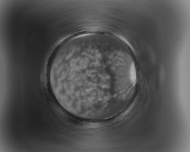 X0000087601071200705251917