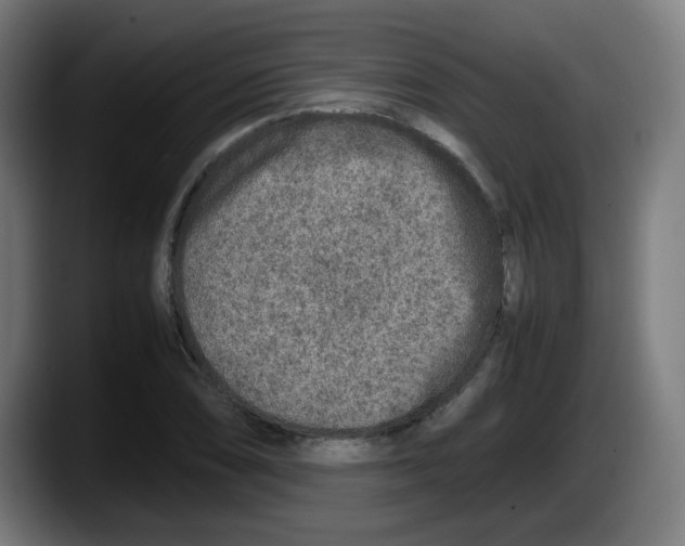 X0000087601074200705251917