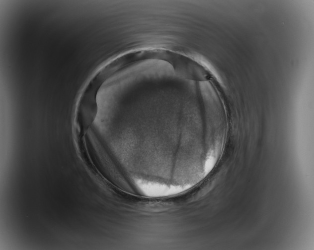 X0000087601077200705251917