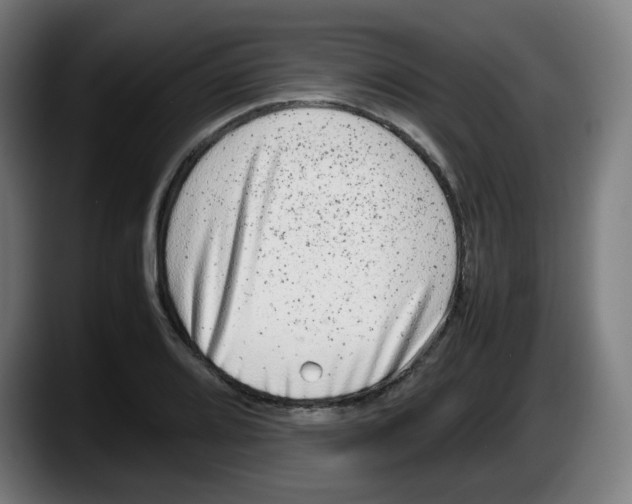 X0000087601080200705251917