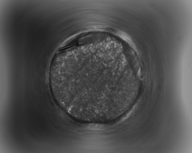 X0000087601081200705251917