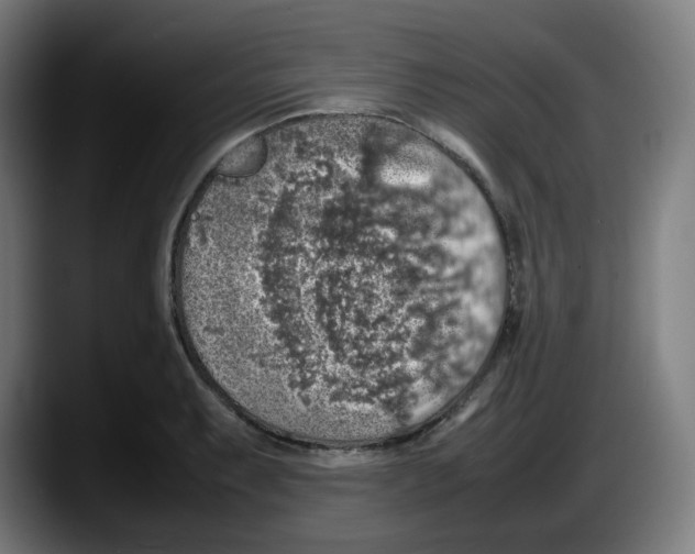 X0000087601087200705251917