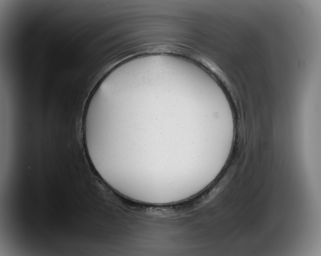 X0000087601089200705251917