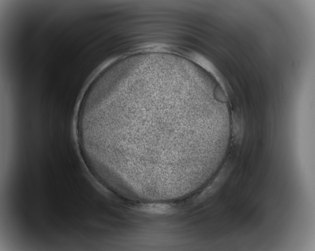 X0000087601090200705251917