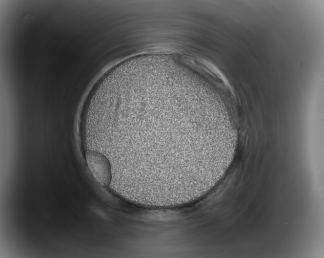 X0000087601091200705251917