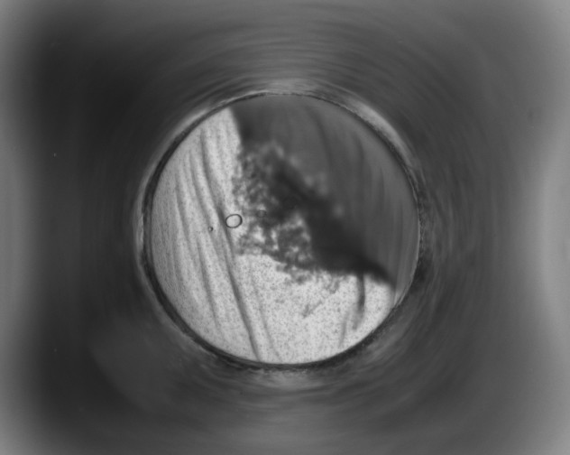 X0000087601095200705251917