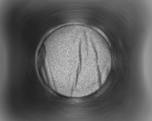 X0000087601096200705251917