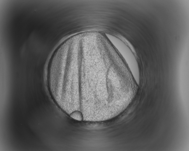 X0000087601099200705251917