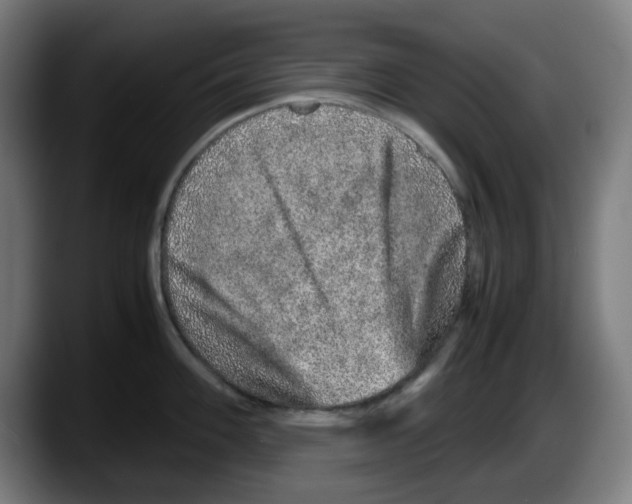 X0000087601100200705251917