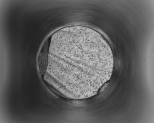 X0000087601102200705251917