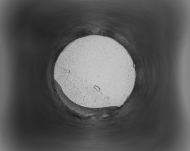 X0000087601105200705251916