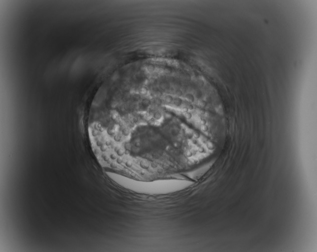 X0000087601106200705251916