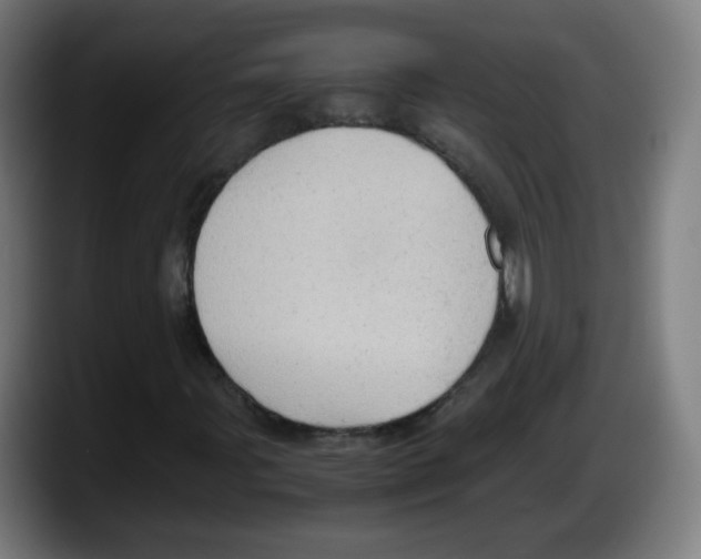 X0000087601107200705251916