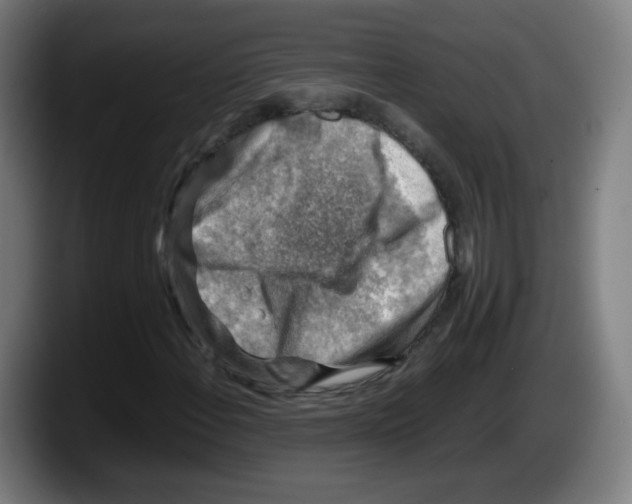 X0000087601108200705251916