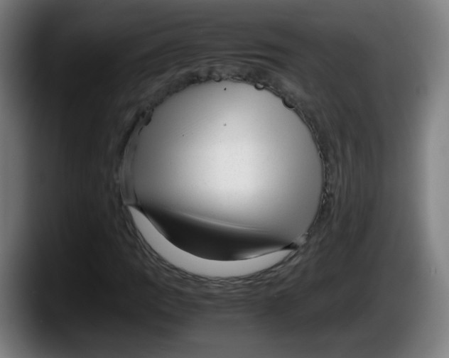 X0000087601109200705251916