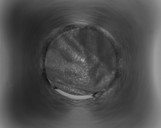 X0000087601110200705251916