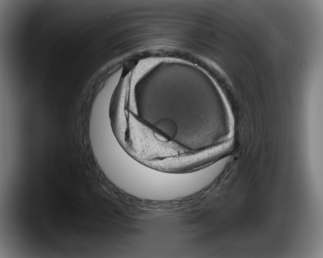 X0000087601112200705251916