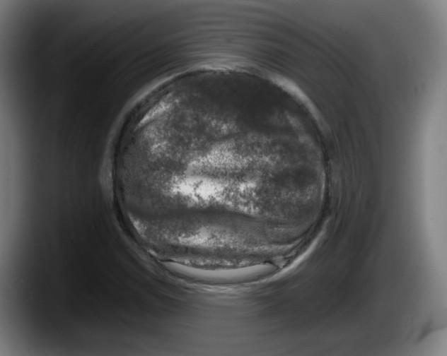 X0000087601114200705251916