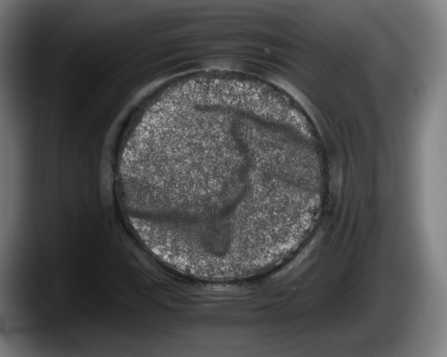 X0000087601115200705251916