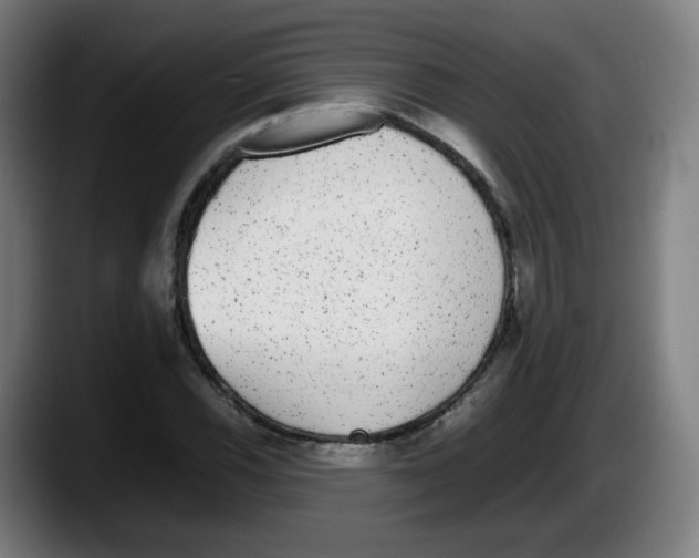 X0000087601116200705251916