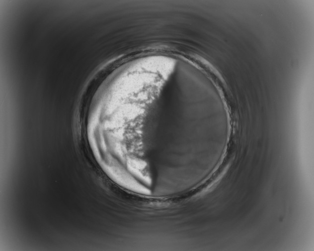 X0000087601117200705251916