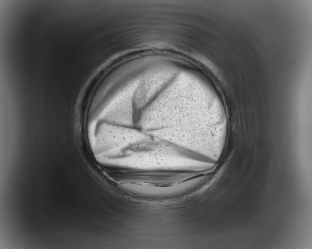 X0000087601118200705251916