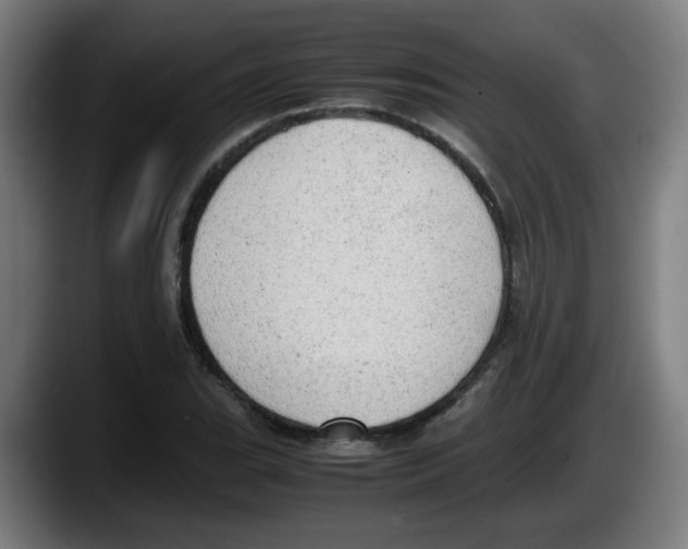 X0000087601119200705251916