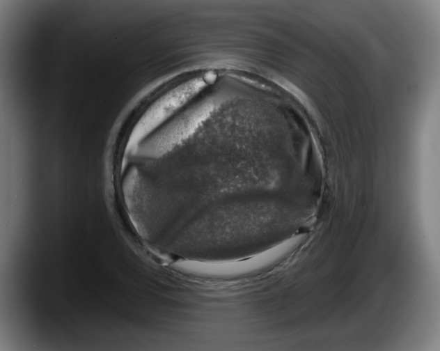 X0000087601120200705251916