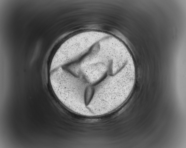 X0000087601123200705251916