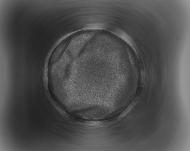 X0000087601124200705251916