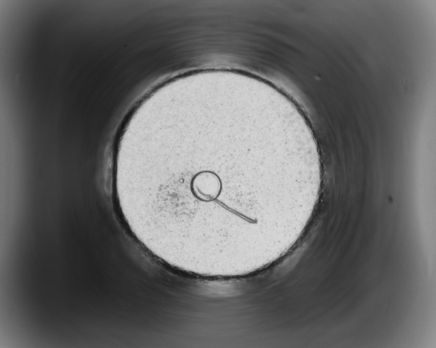 X0000087601126200705251916