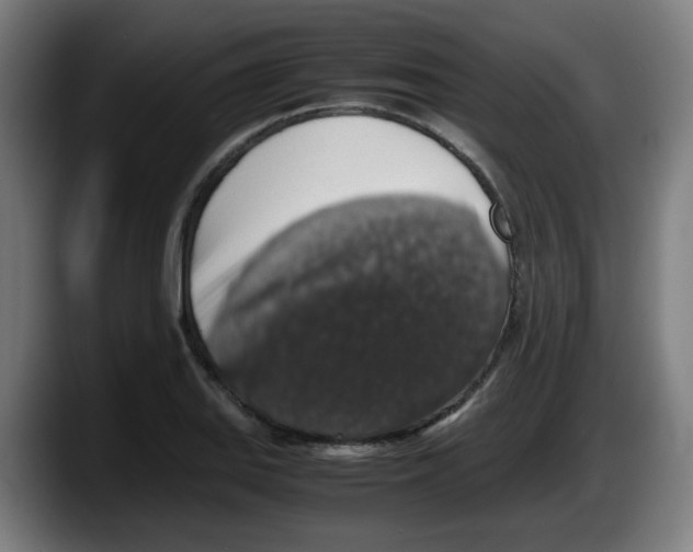 X0000087601127200705251916