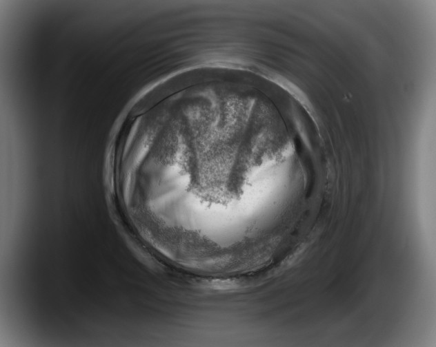 X0000087601128200705251916