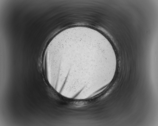 X0000087601129200705251916