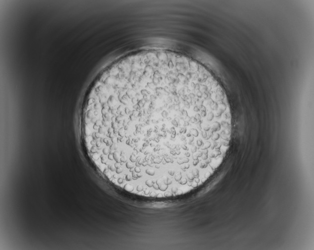 X0000087601130200705251916