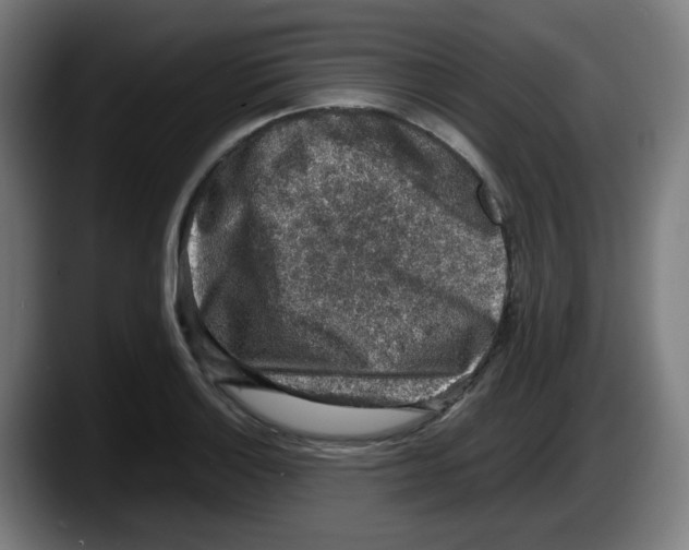 X0000087601132200705251916