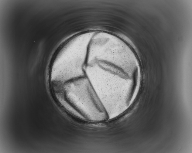 X0000087601133200705251917