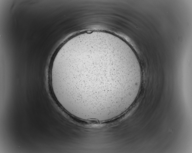 X0000087601134200705251917