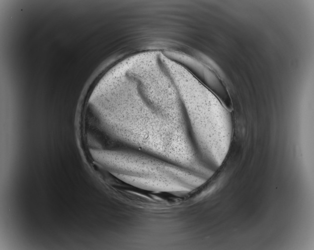 X0000087601138200705251917