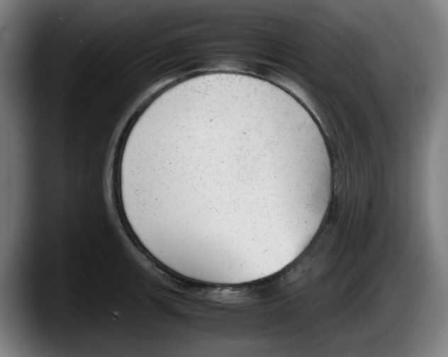 X0000087601139200705251917