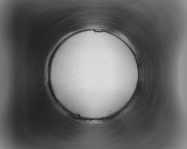 X0000087601140200705251917